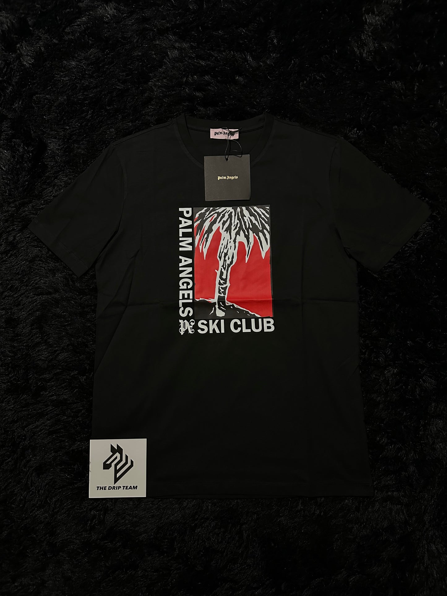 PALM ANGLS T