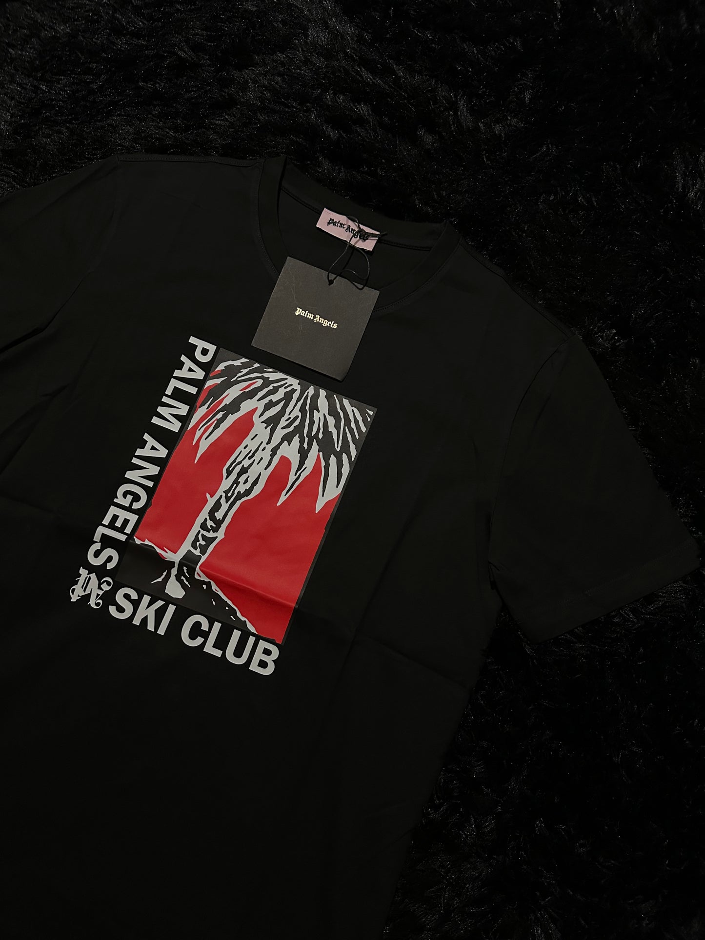 PALM ANGLS T