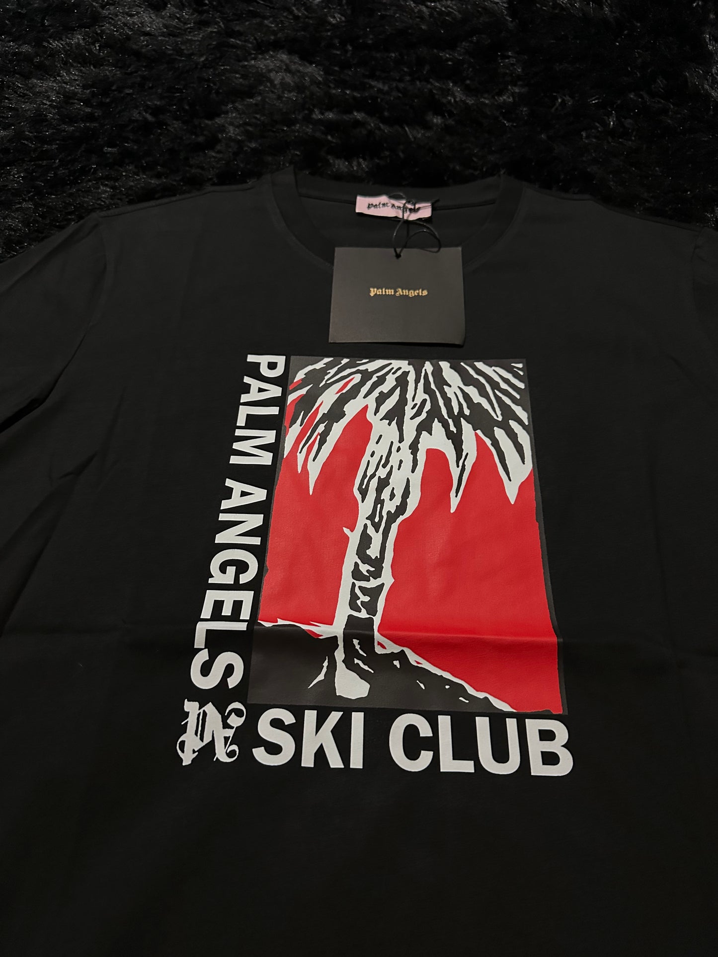 PALM ANGLS T