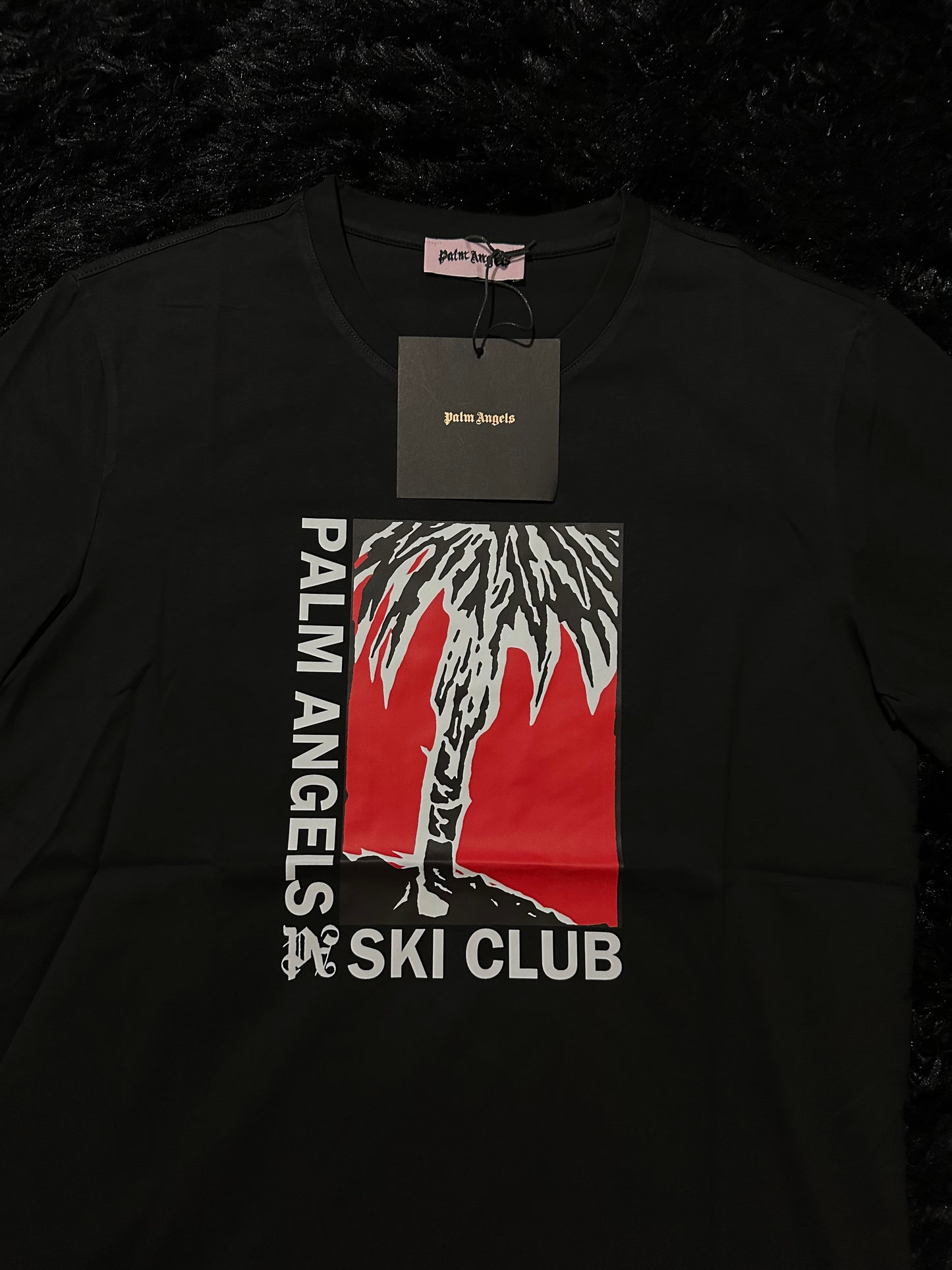 PALM ANGLS T
