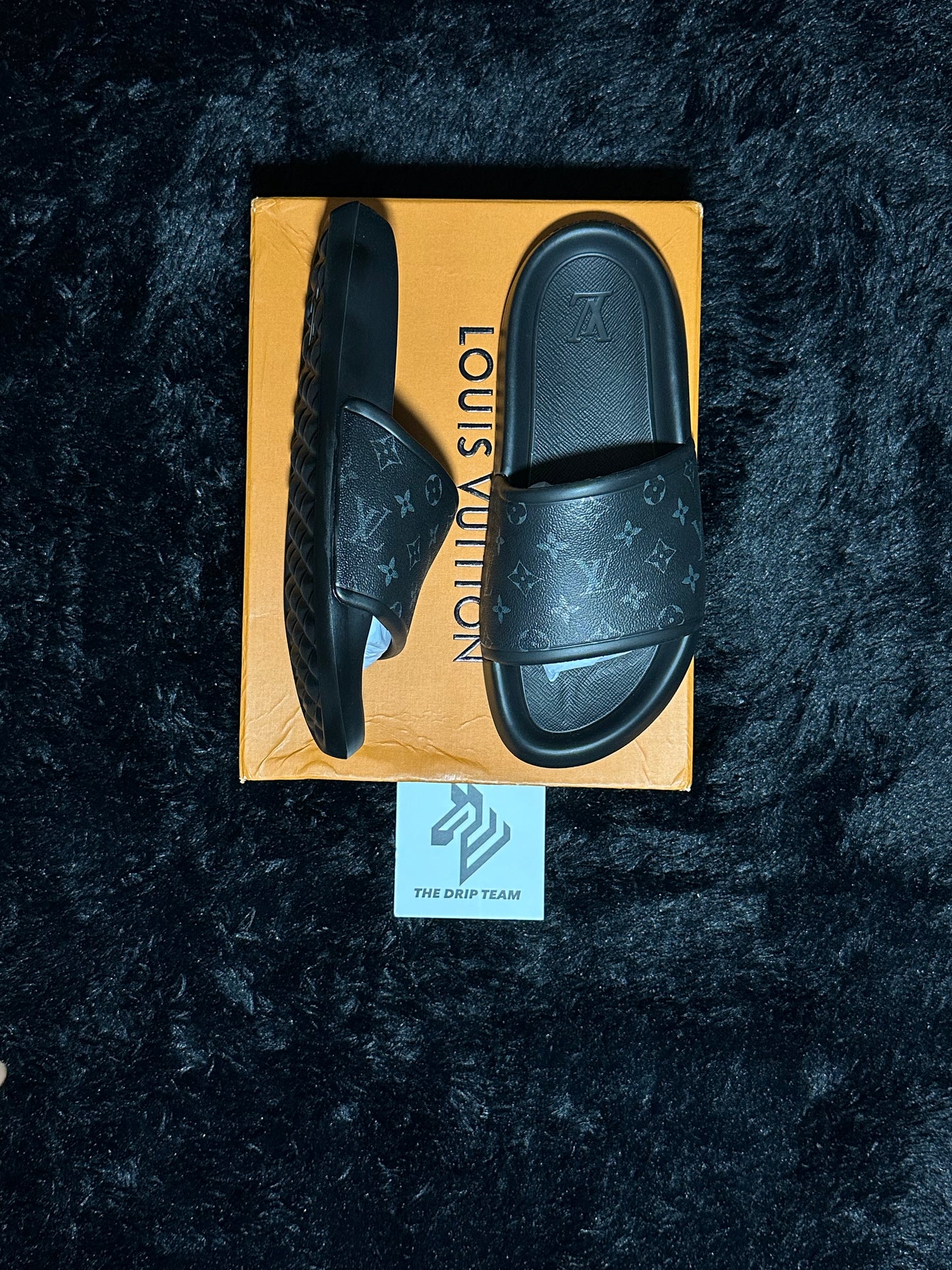 LV SLIDES