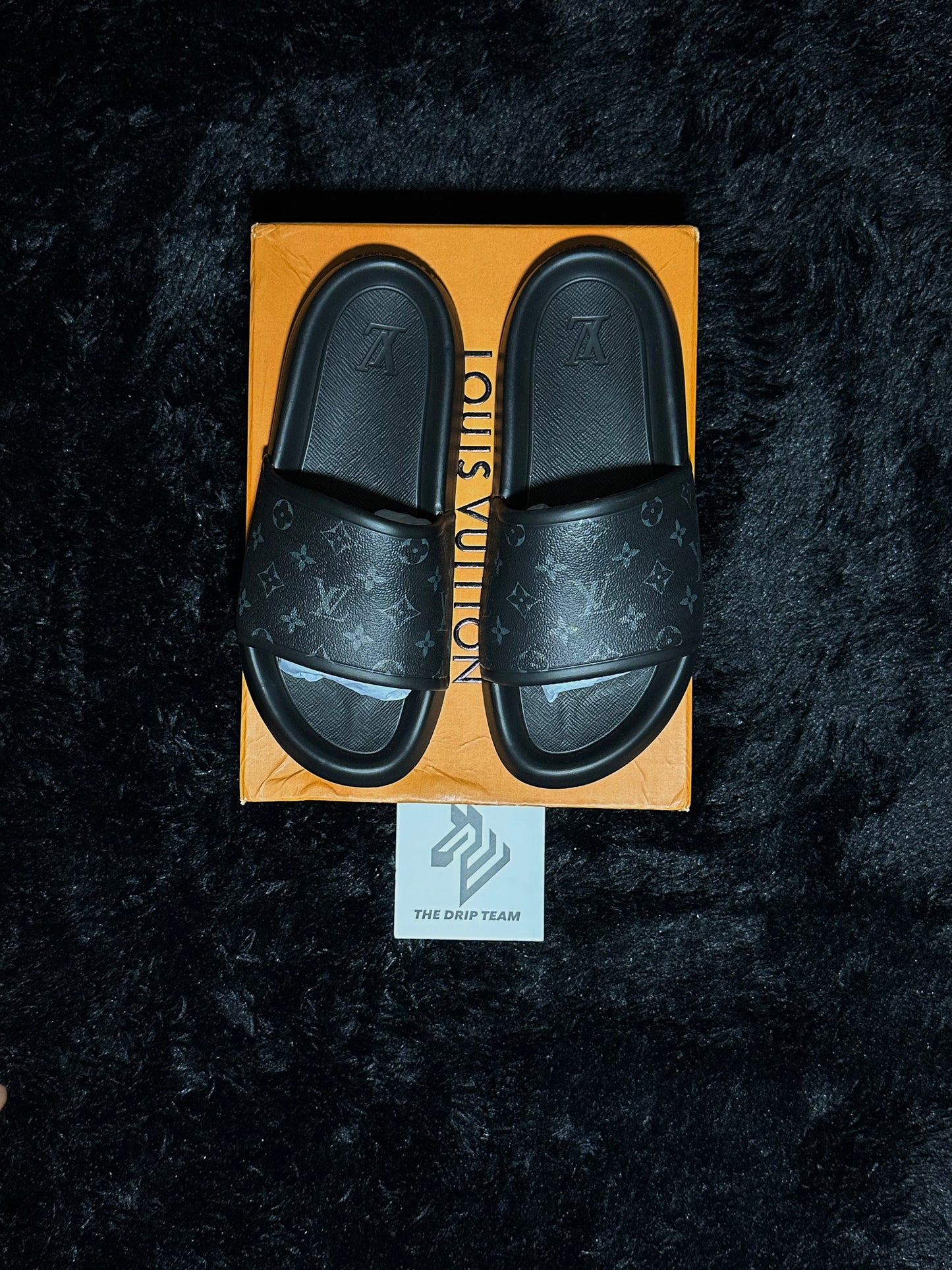 LV SLIDES